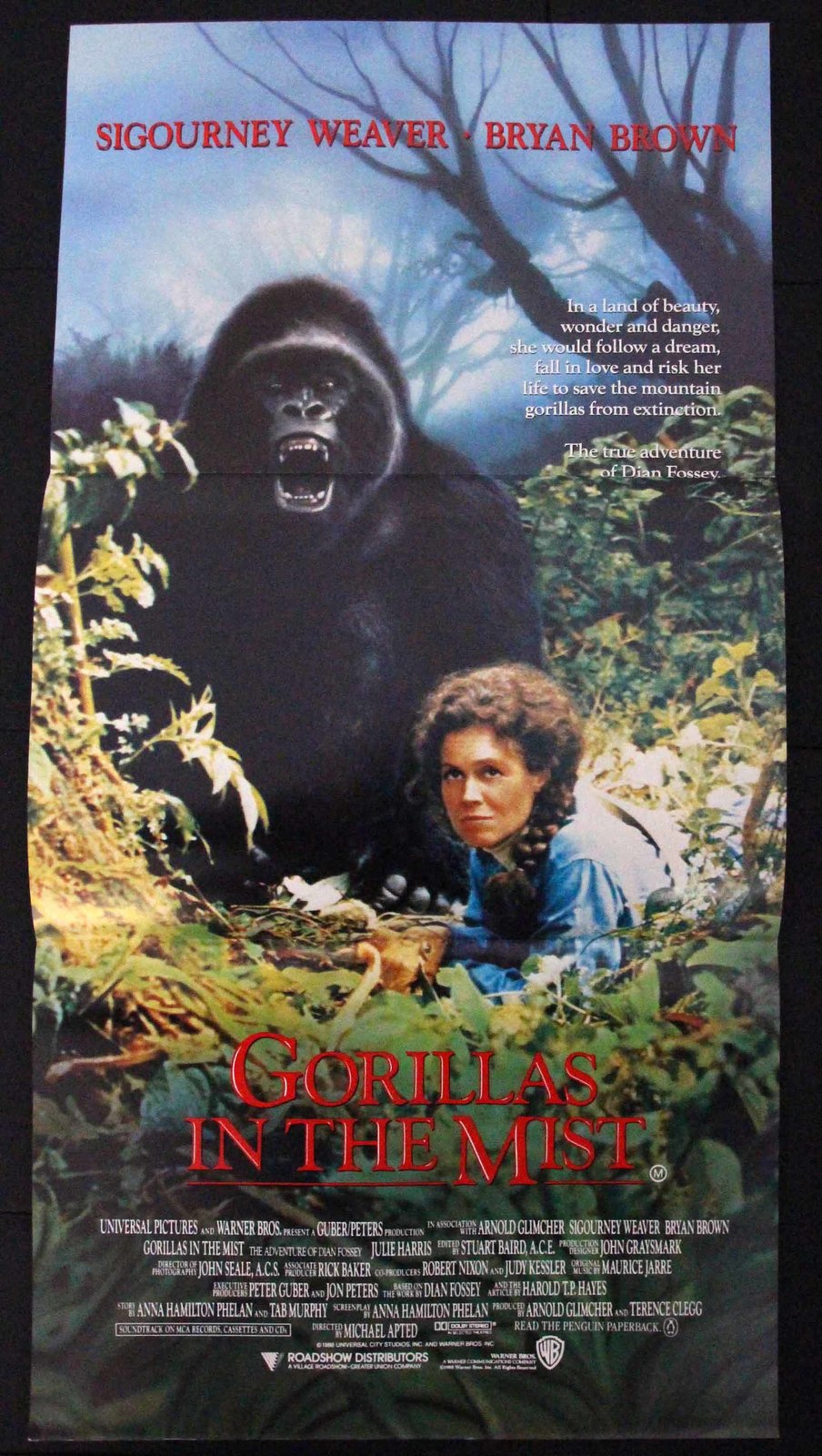 Gorillas in the Mist (1988) Original Australian Daybill Movie Poster | eBay