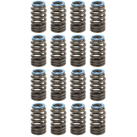 NEW GENUINE GM Set of 16 6.2 LT1 2015-2017 6.2 LT4 Valve Springs 12691120