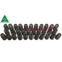 Ford Mustang R-SPEC V8 5.0L Supercharged Coyote/Miami Performance Valve Springs (100Lbs seated, 230Lbs at .575 lift) SET